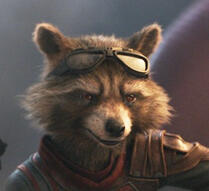rocket raccoon